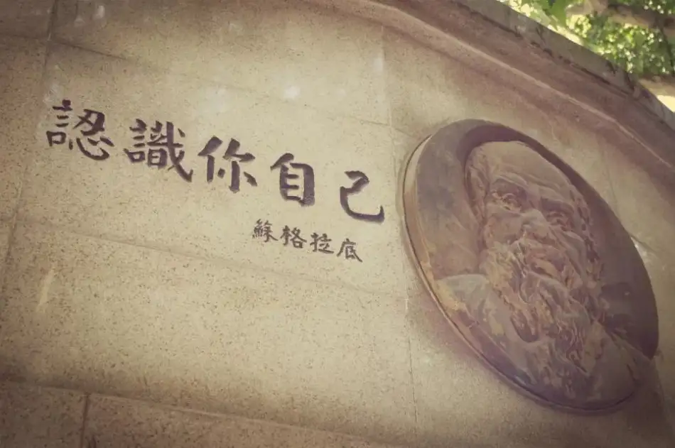 「随便来点」失语症