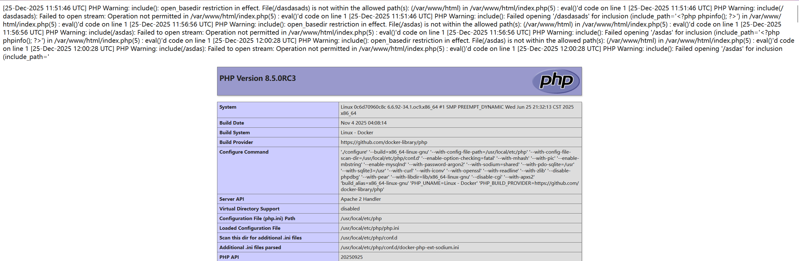 image-20251225200529815