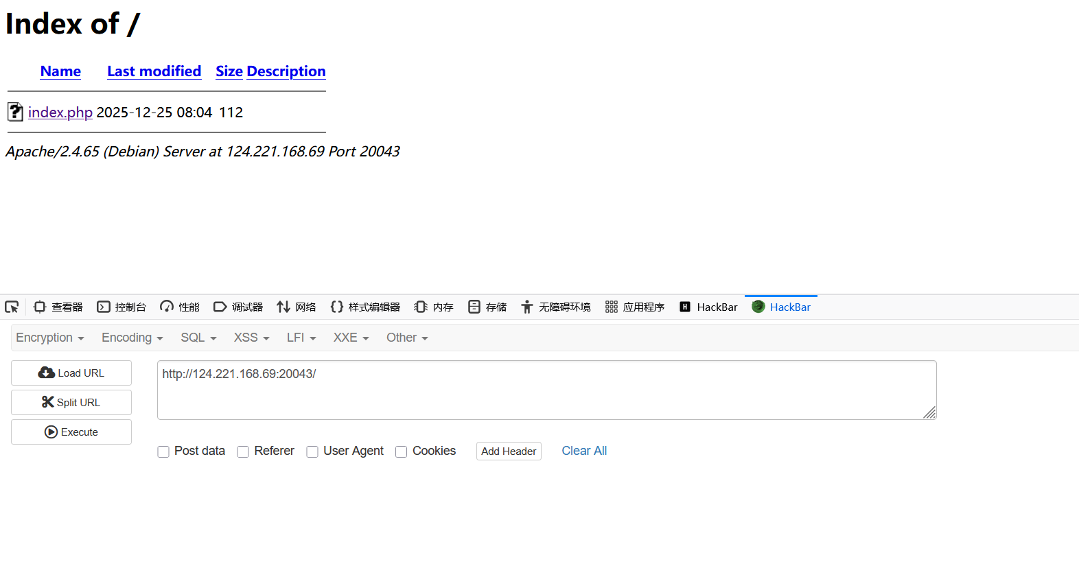 image-20251225213337155