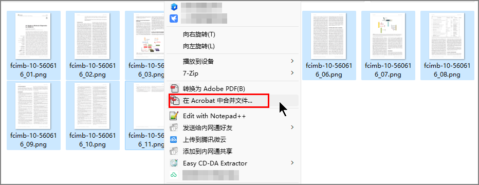 图片[15] - Adobe Acrobat Pro 2024 最新版来袭：让你如编辑 Word 般编辑 PDF - 木雨博客