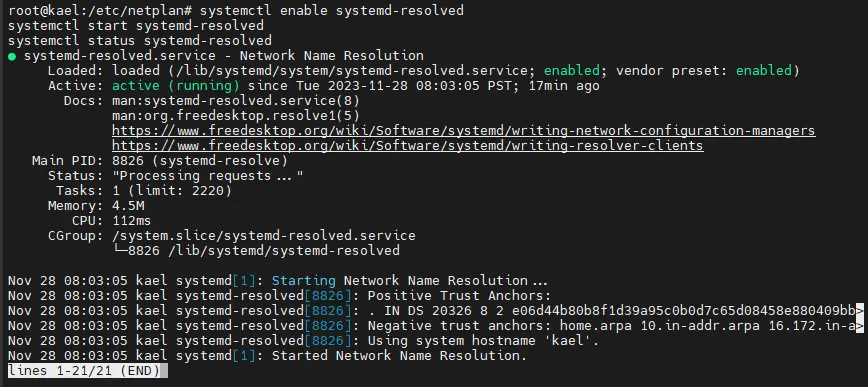 image-20231129002031657