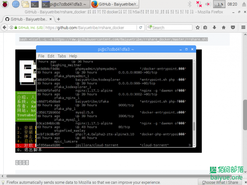 Docker安装Raspbian（树莓派操作系统）