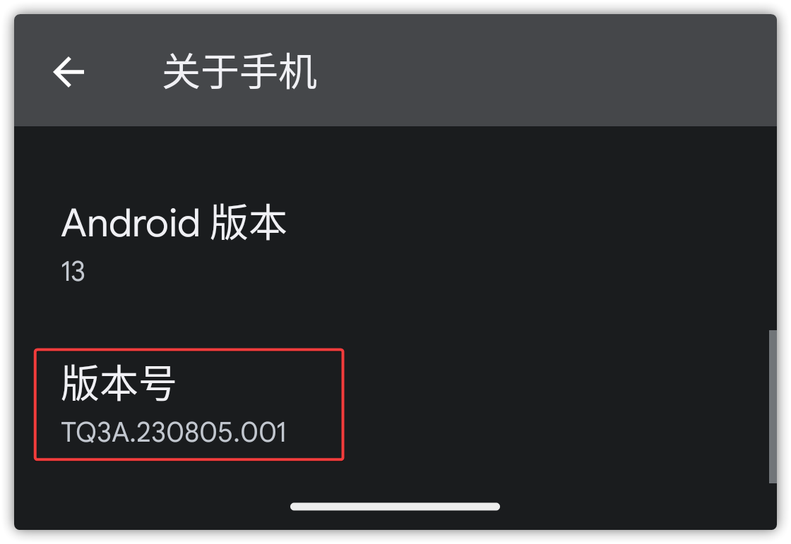 开启开发者选项