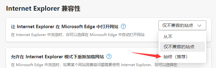 Edge 设置