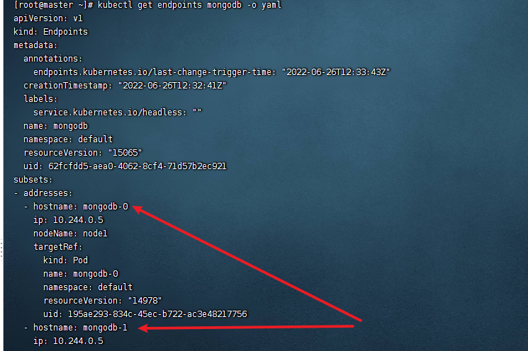 image-20220626204331323