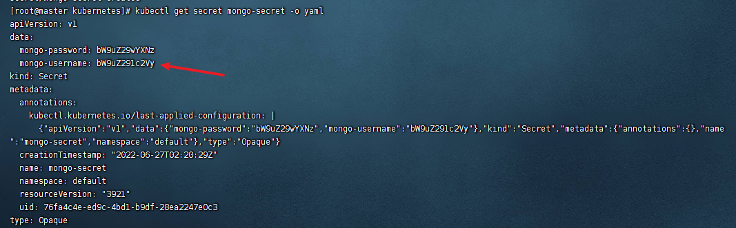 image-20220627102044048