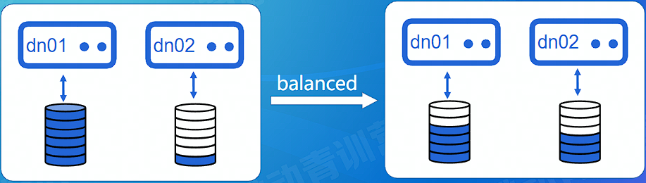 image-20220803151818640