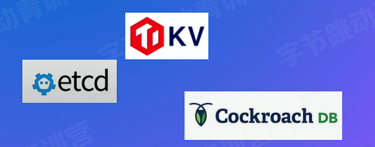 image-20220818043248314