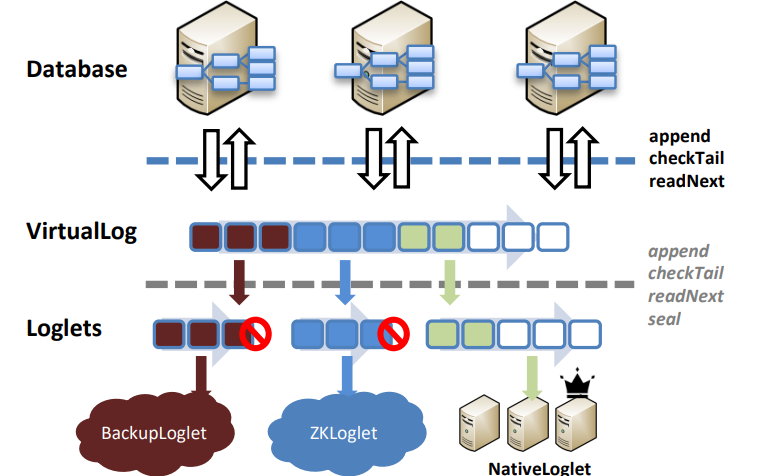 image-20220818052300560