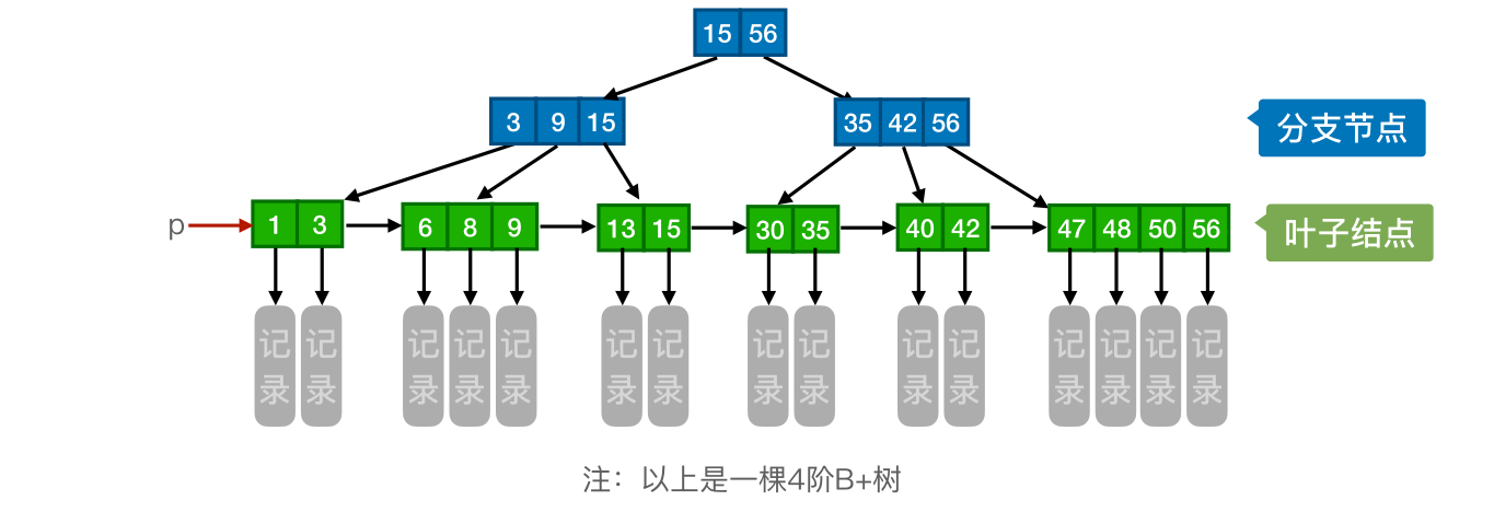 image-20221219085642199