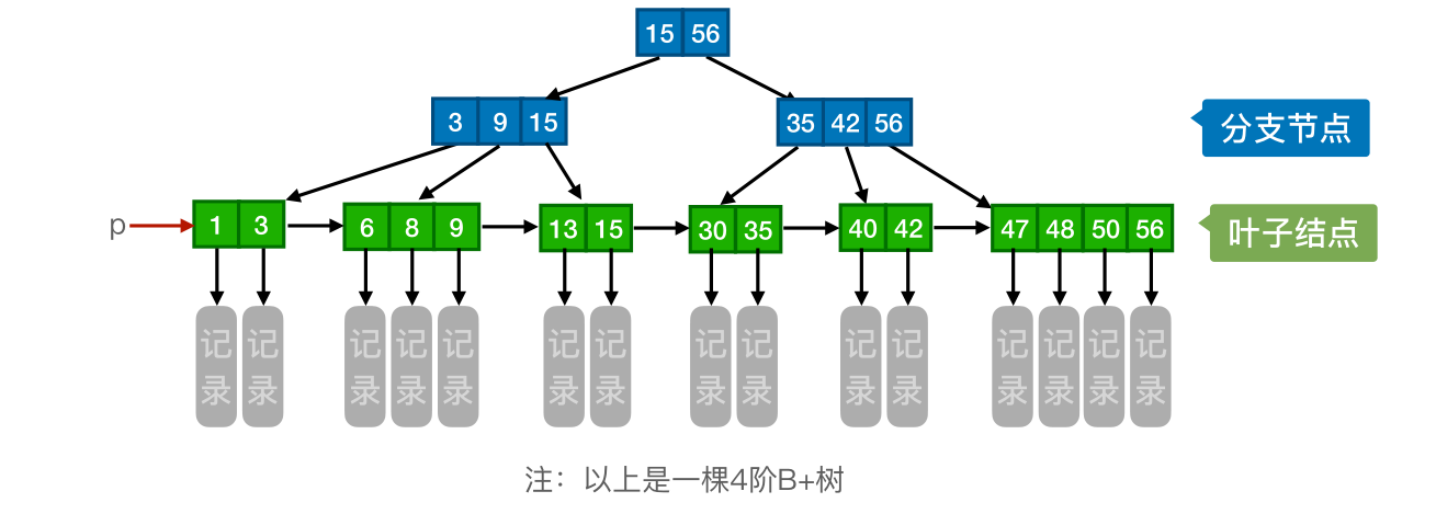 image-20221219091014562