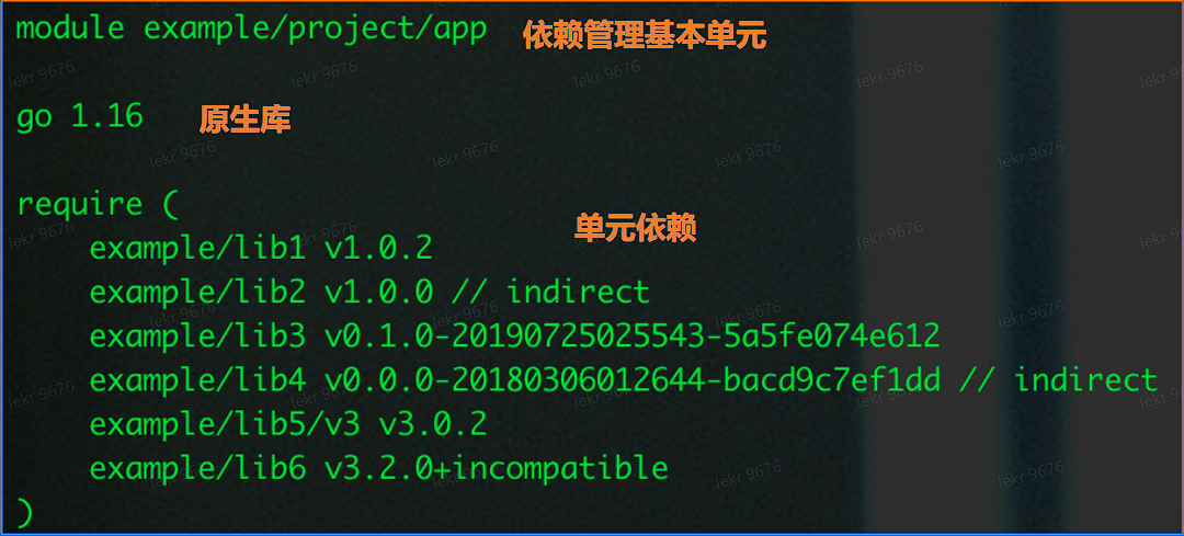 image-20230121154259982