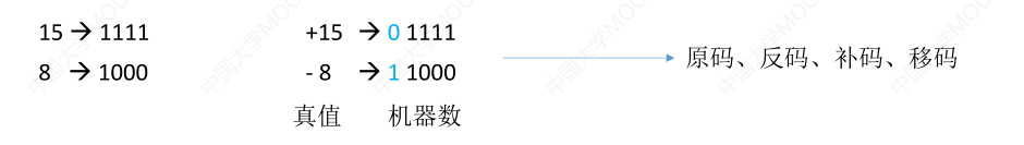 image-20230714155621971