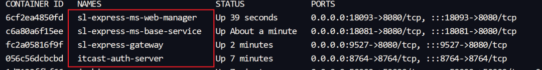 image-20230830162822062