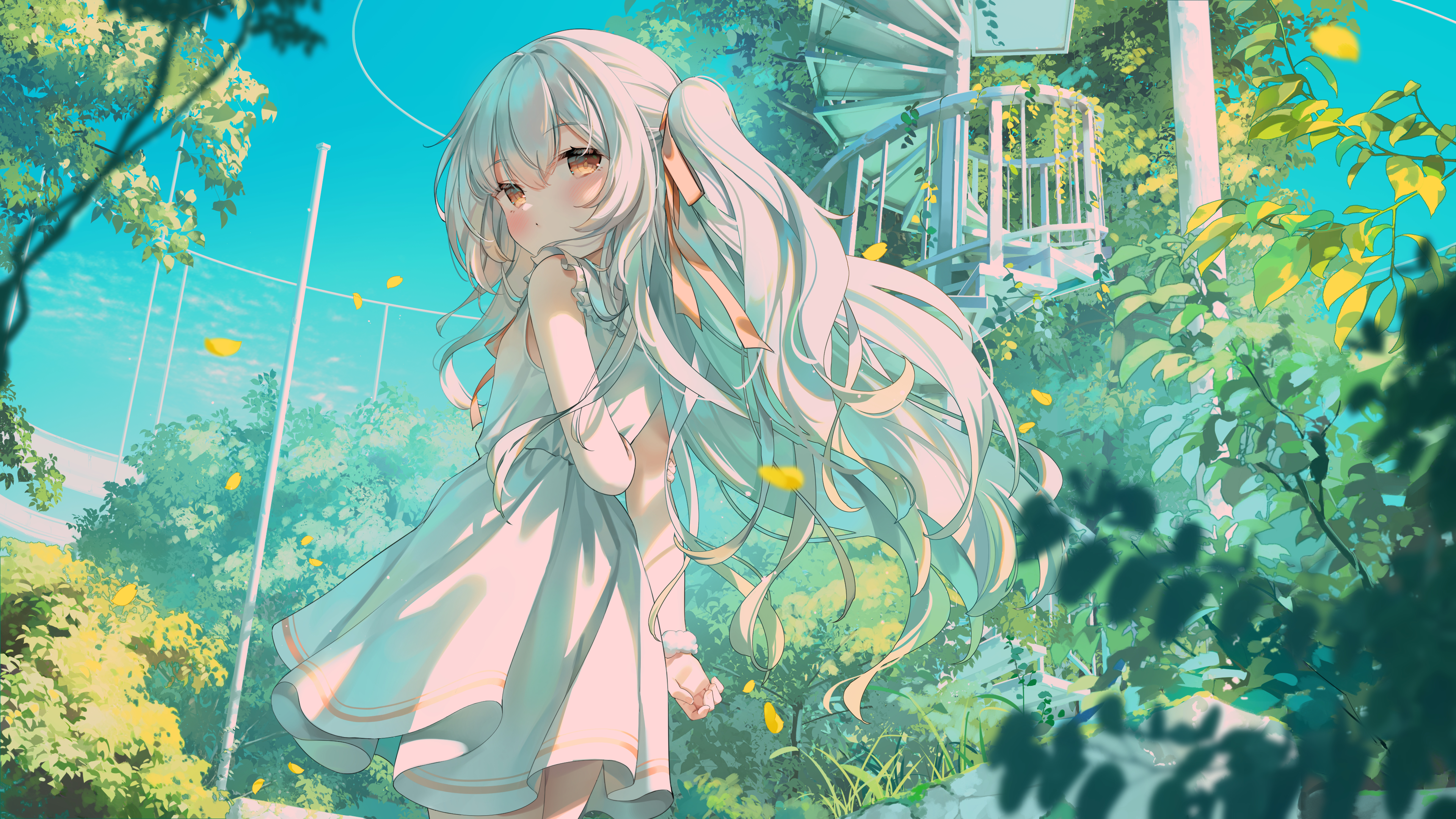 Cover Image of the Post