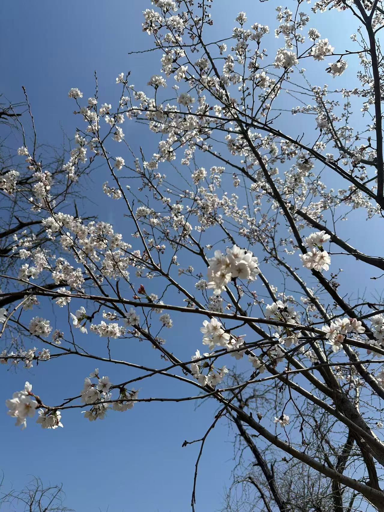 如何判断递归的时空复杂度