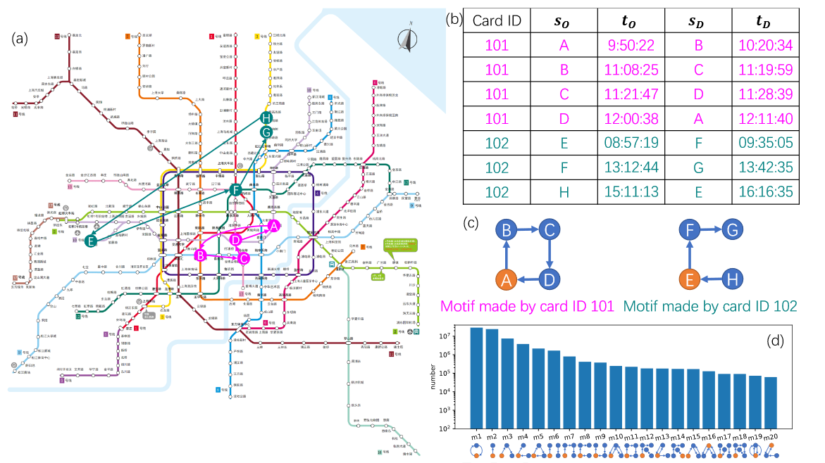 利用NTD揭示城市移动网络中的基元模式