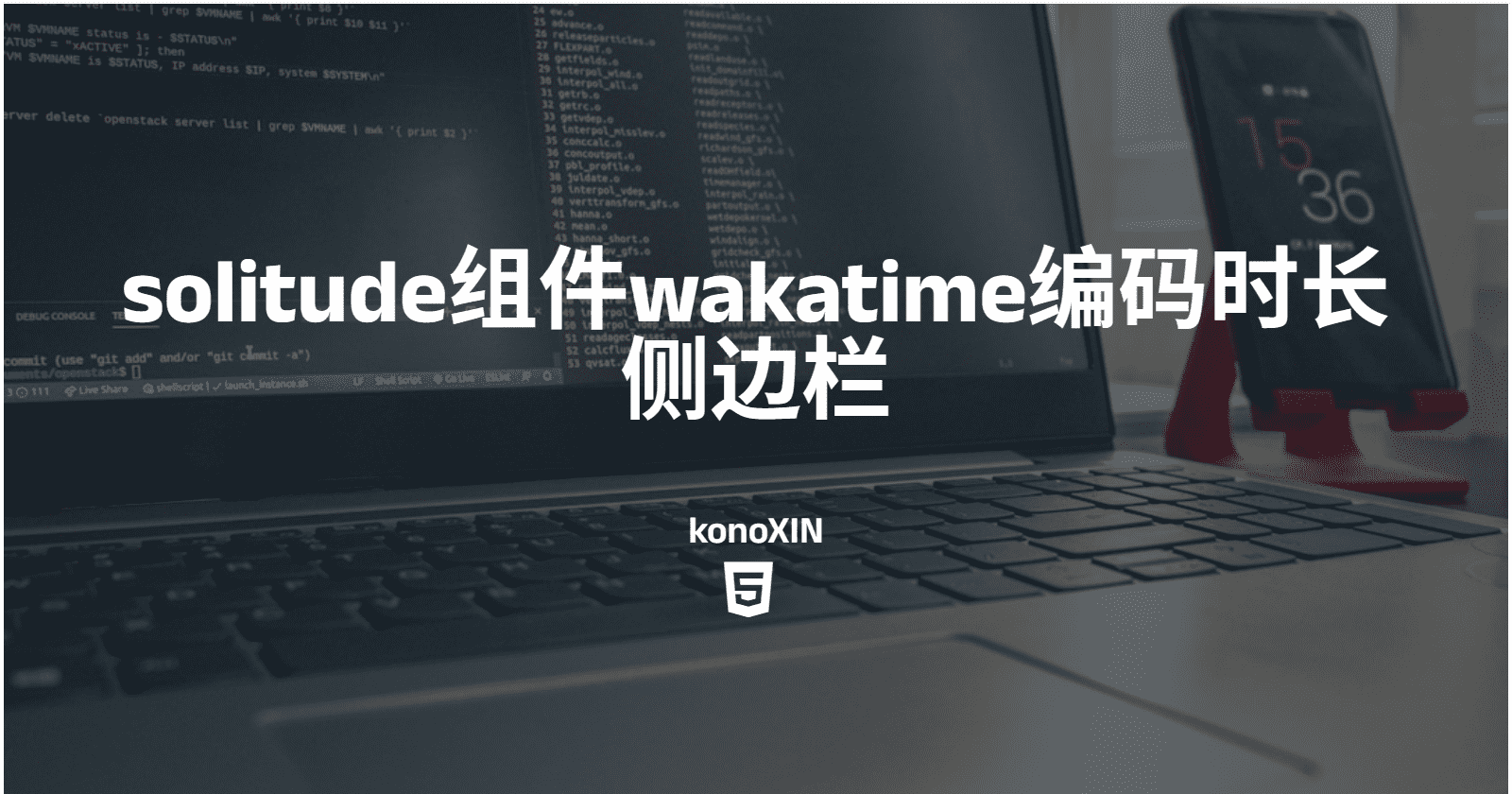 solitude组件wakatime编码时长侧边栏