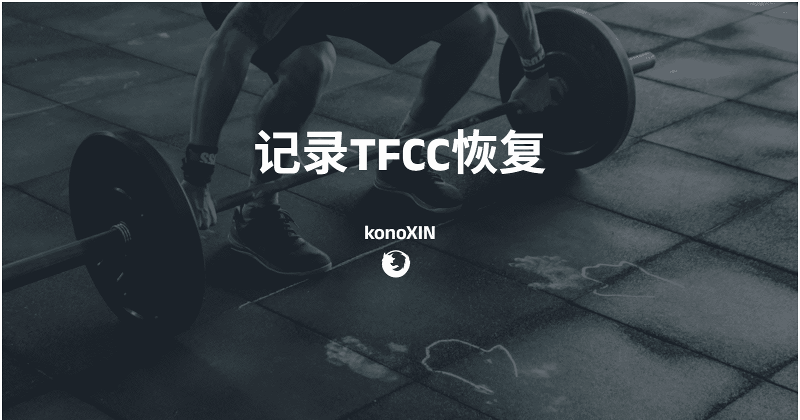 记录TFCC恢复
