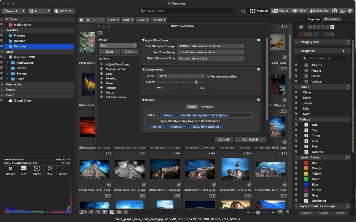 ACDSee Photo Studio 26截图3