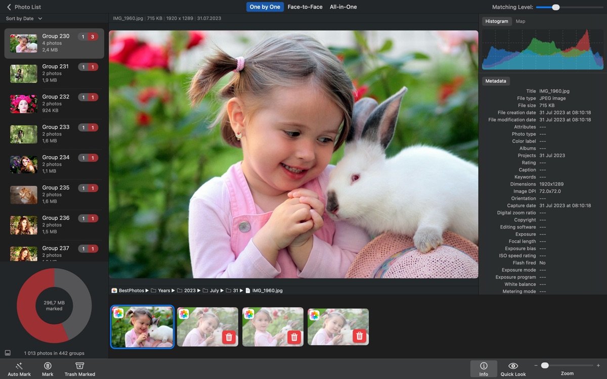PhotoSweeper X截图3