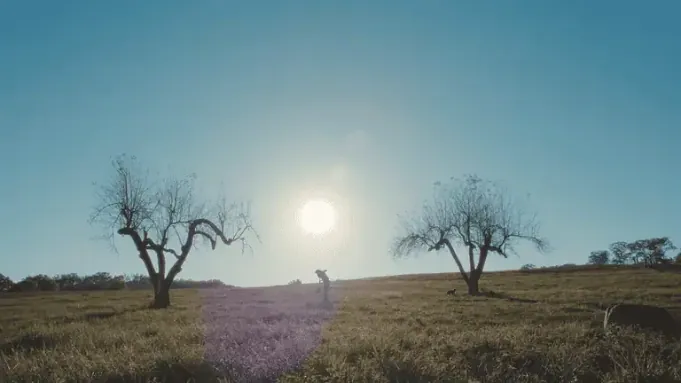 苹果TV五月片单新增惊悚剧《极致快感保证》