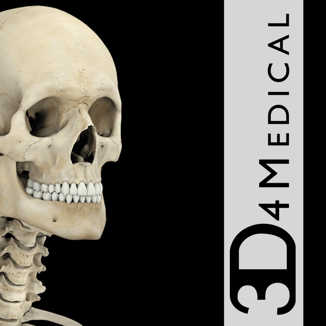 Skeletal System Pro III 3.8