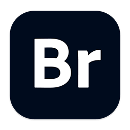 Adobe Bridge 2022 12.0.3