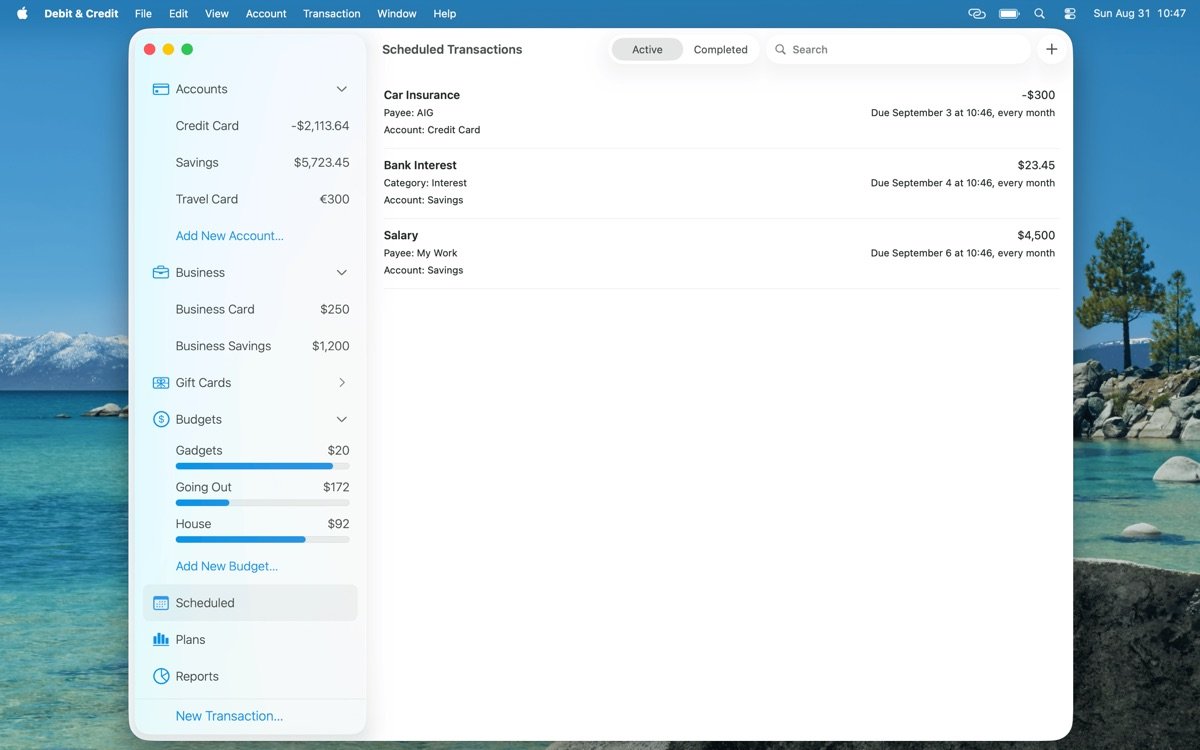 Debit & Credit截图4