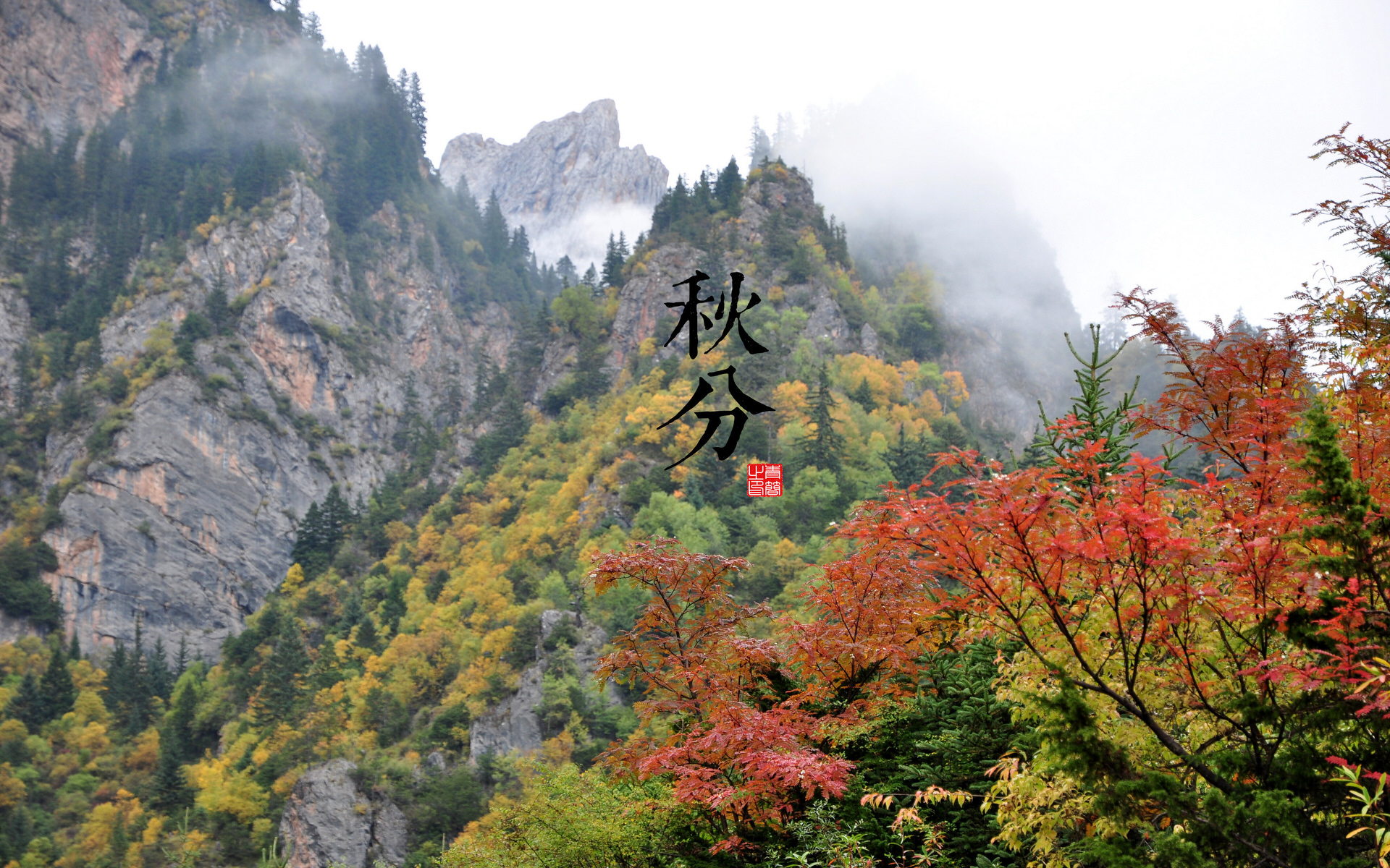 二十四节气—秋分高清壁纸