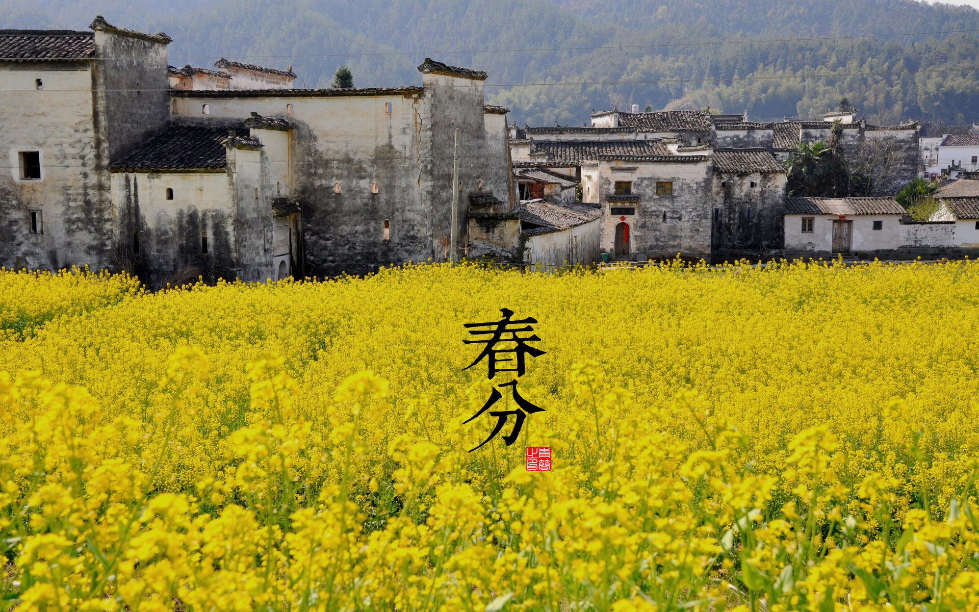 二十四节气—春分高清壁纸