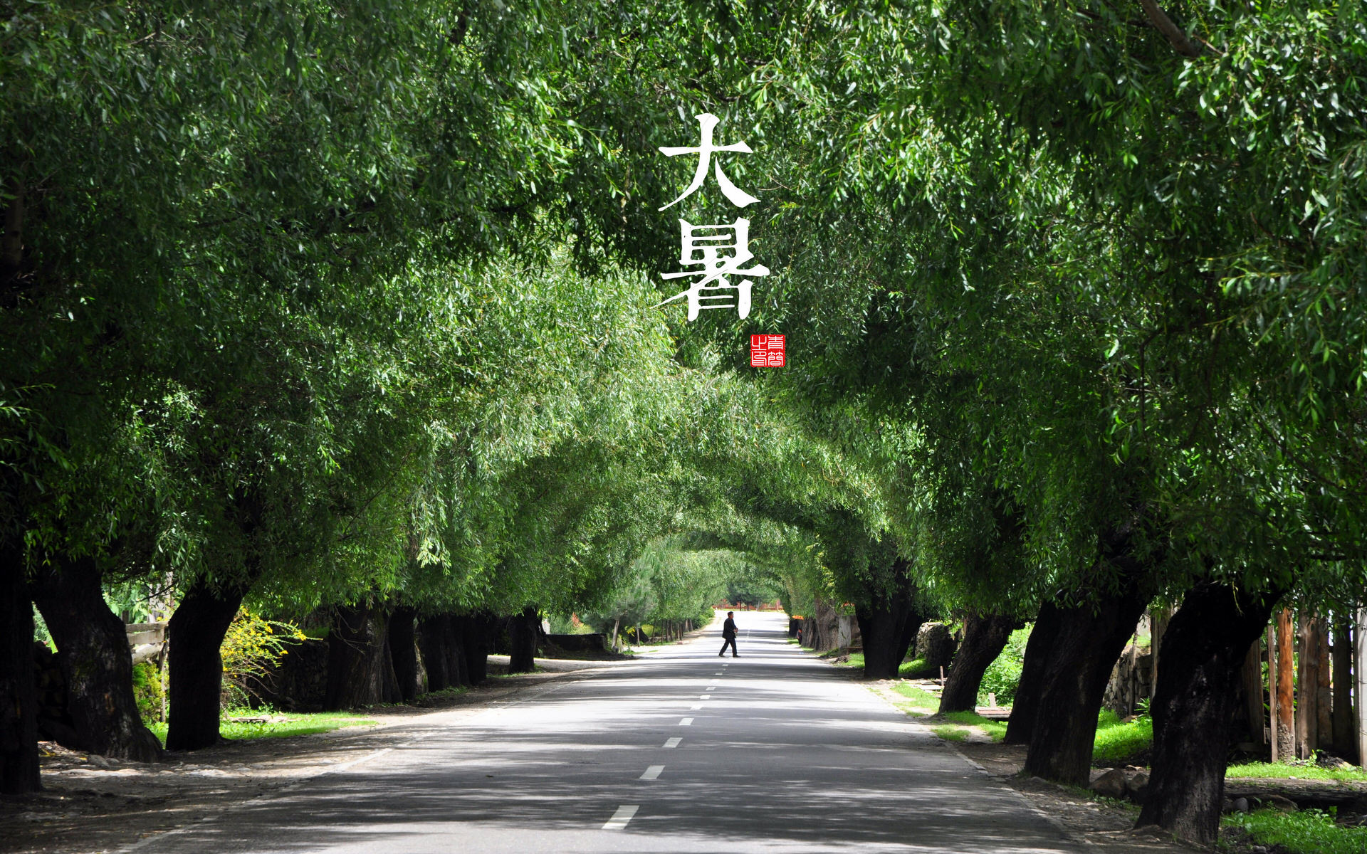 二十四节气—大暑高清壁纸