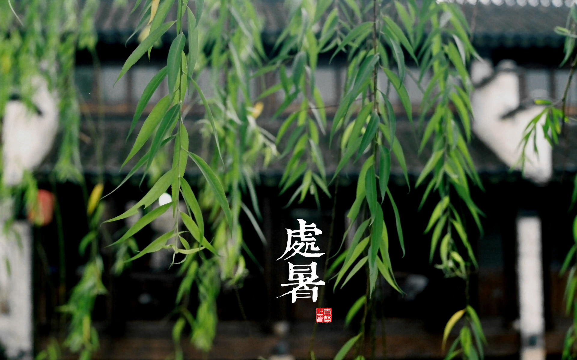 二十四节气—处暑高清壁纸