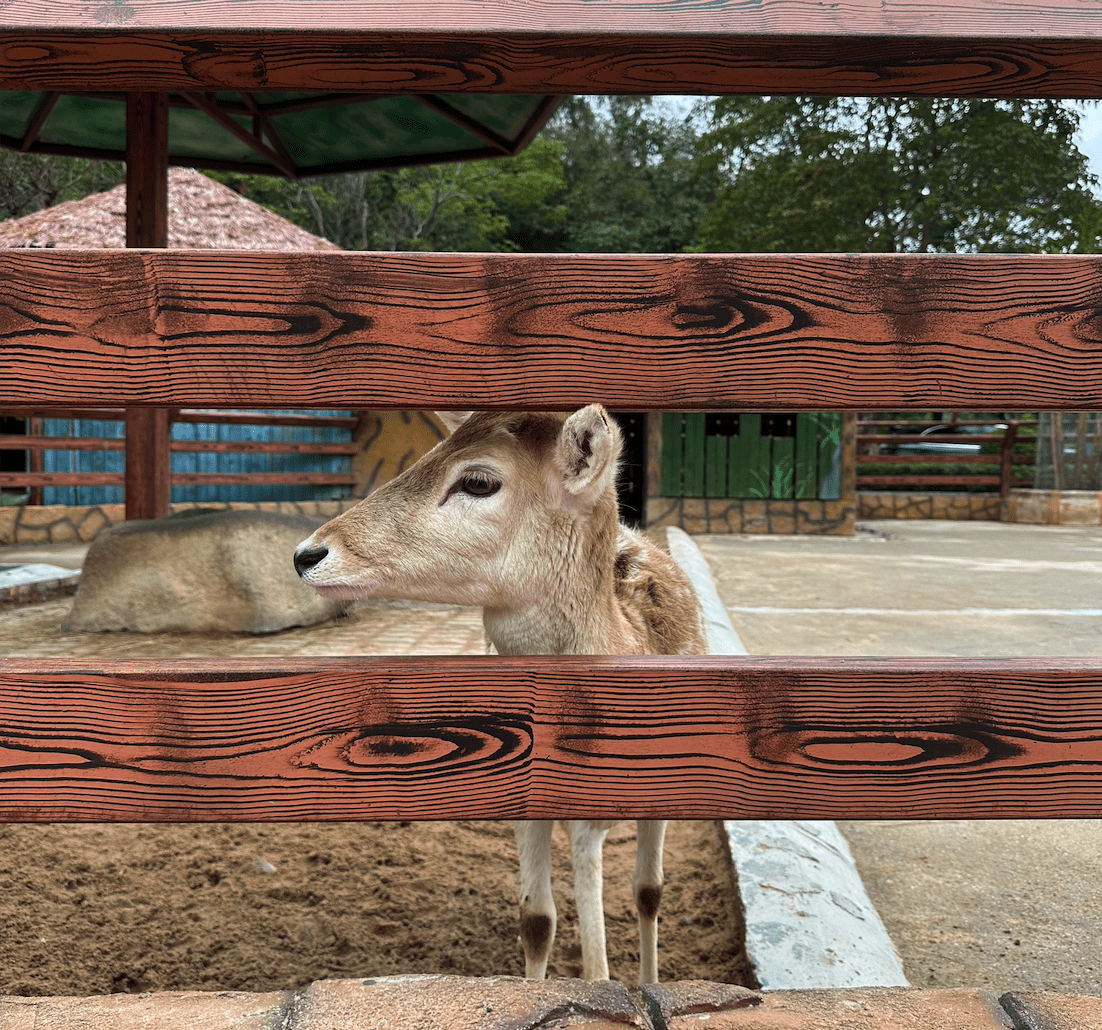 image-20230214110348756