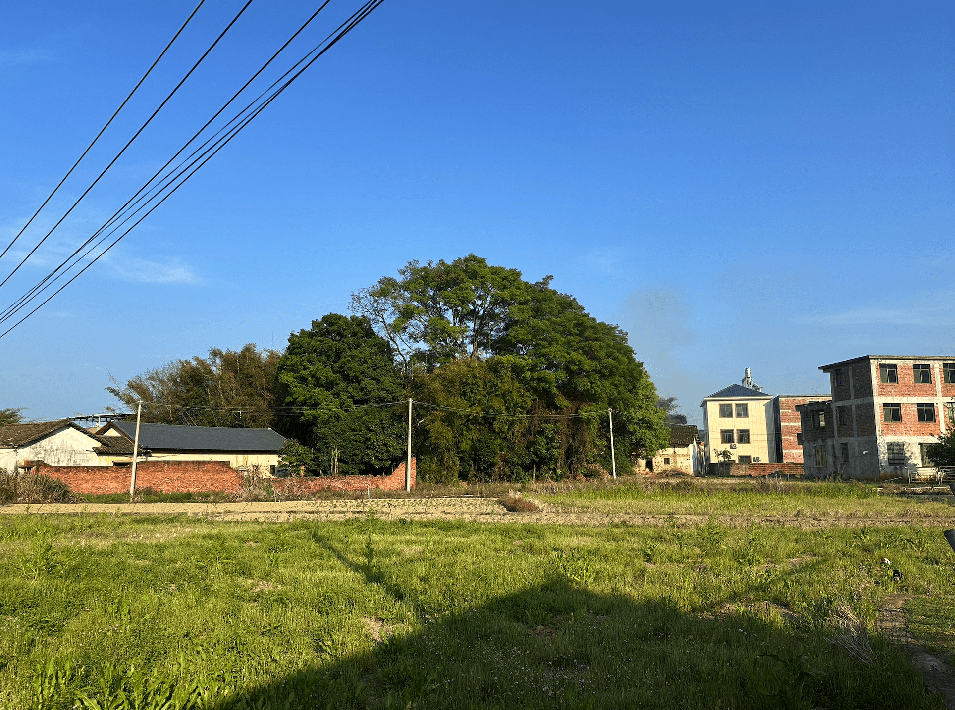 image-20240331100134022