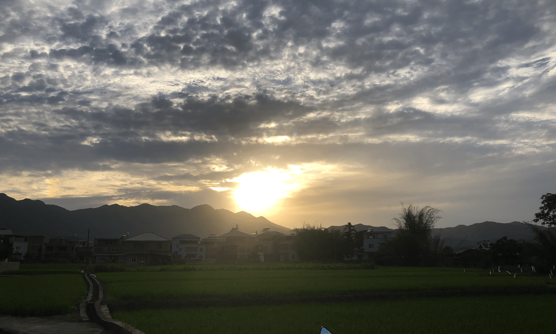 image-20210502212125281