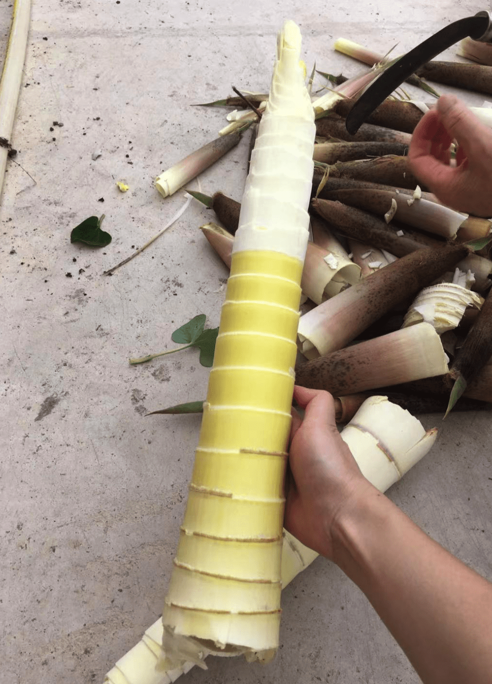 image-20210502213048987