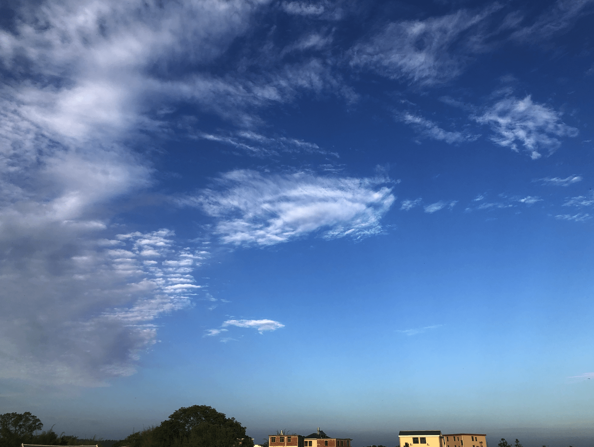 image-20210502212245916