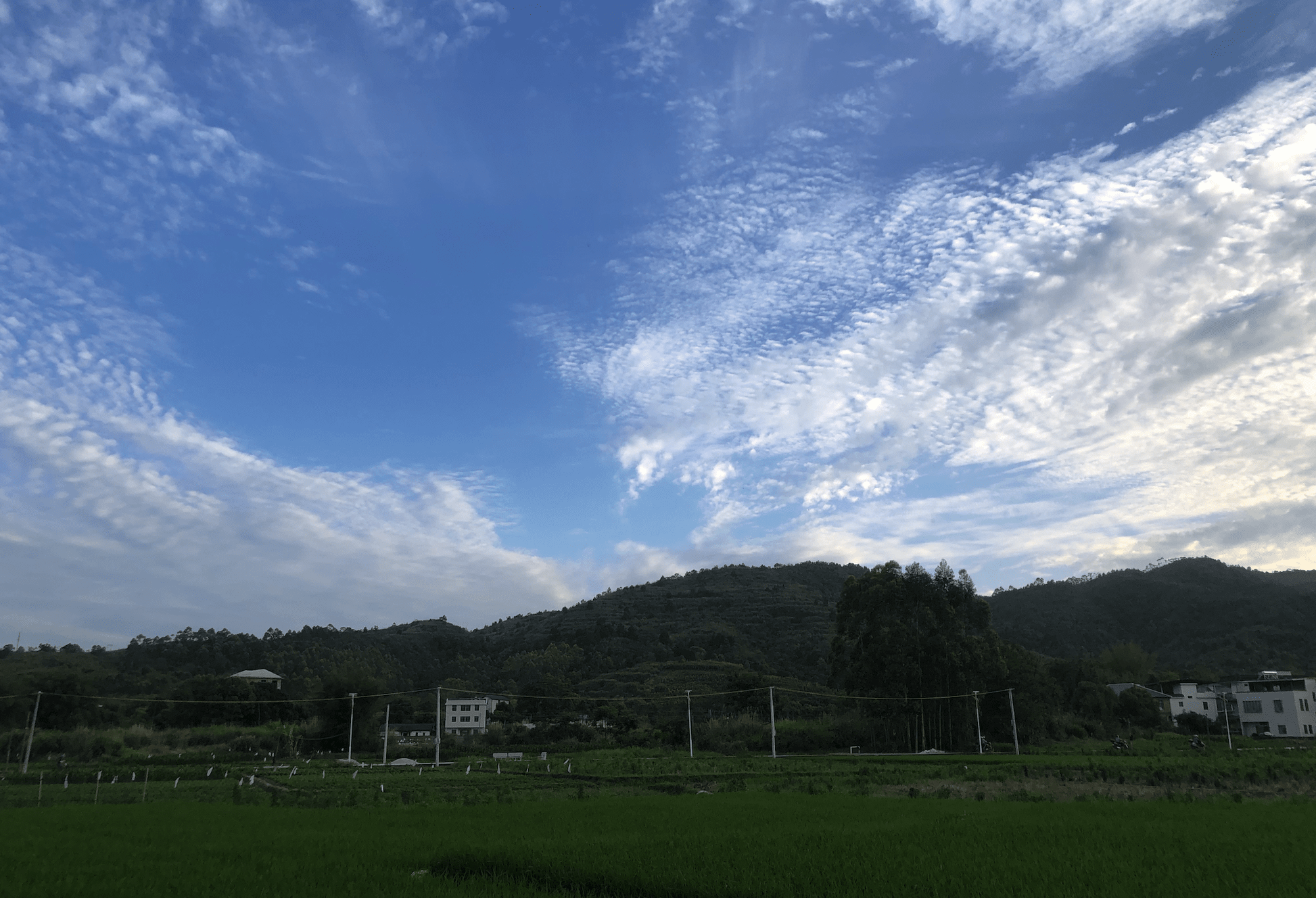 image-20210502211847687