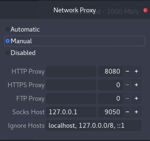 Network Proxy