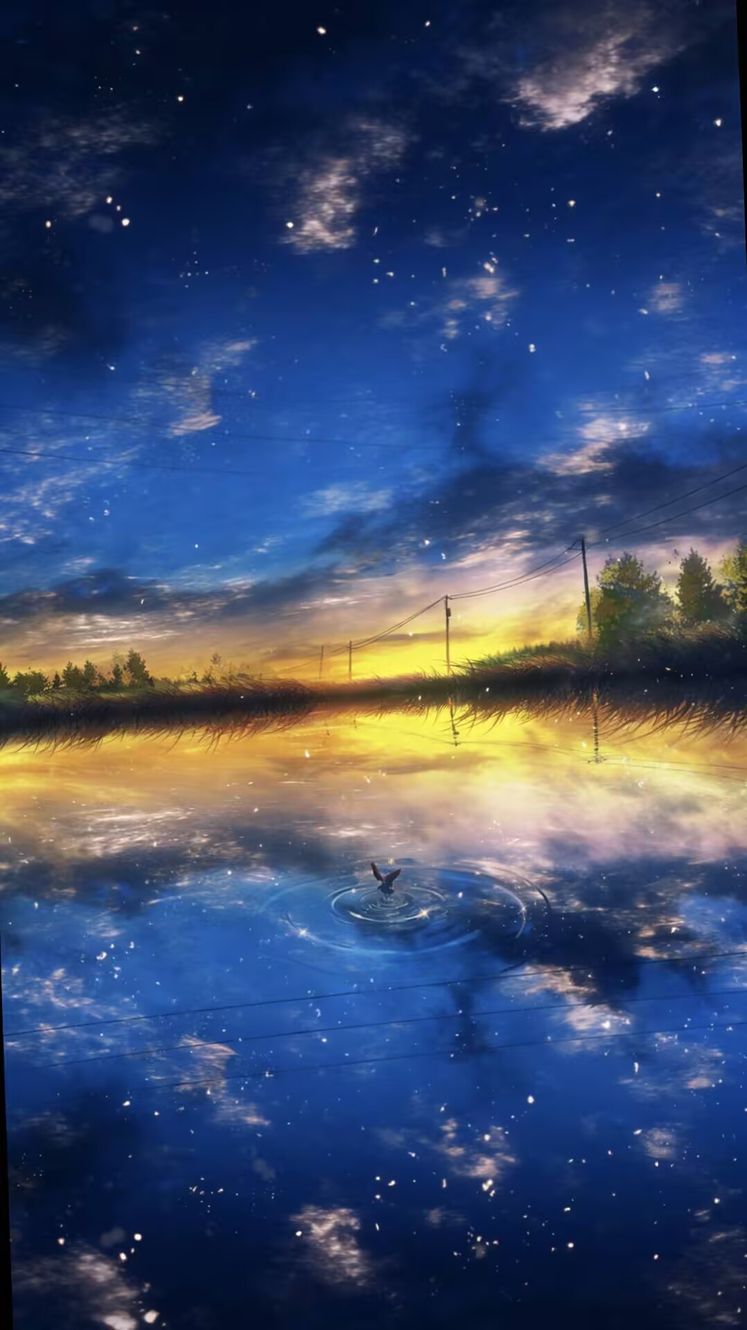 Diving into daily papers