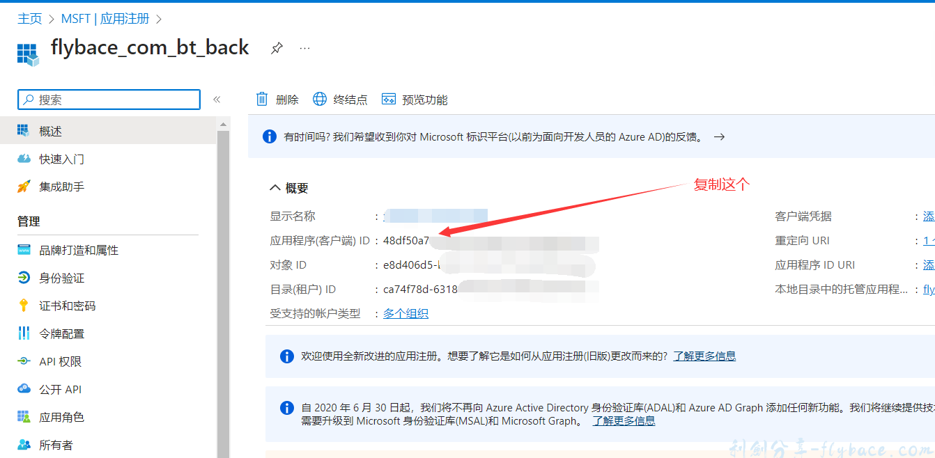 image-20230610232354246