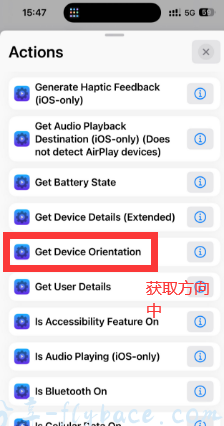 image-20231219155725323