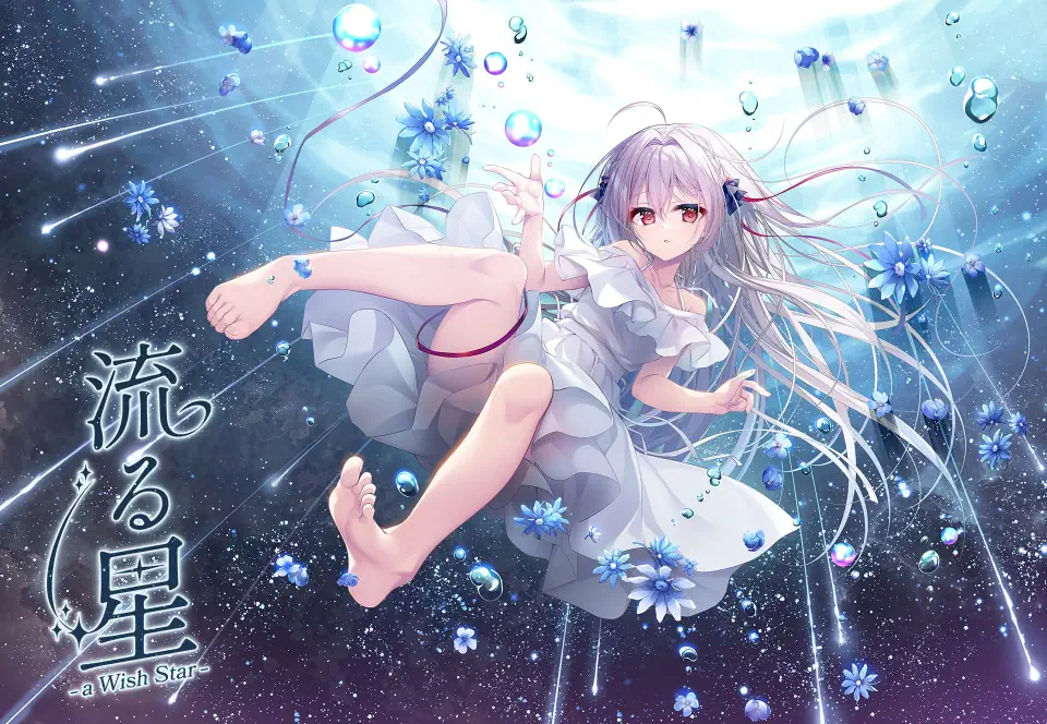 [Kr/VN] 流る星 -a wish star- (流星 -a wish star-、Nagaruboshi -a wish star- )