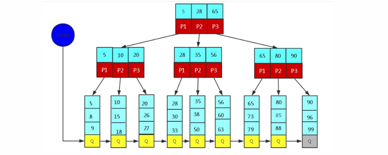 image-20250319235924557