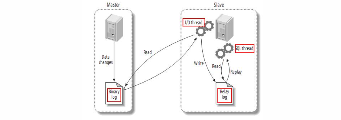 image-20250320012805574