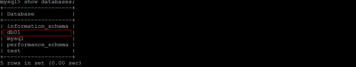 image-20250320013022810