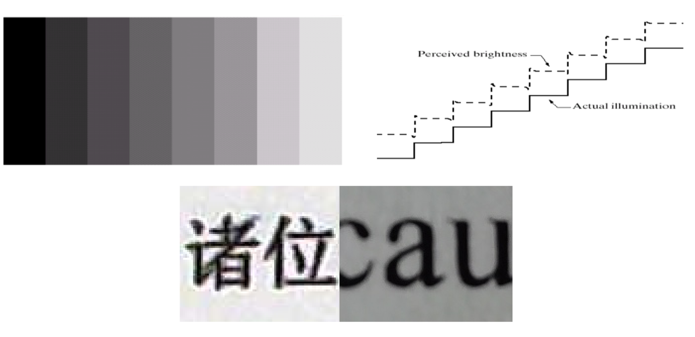 人眼具有边缘增强特性