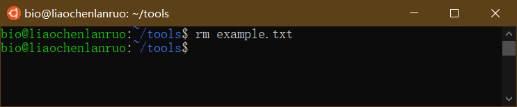 删除tools目录下的“example.txt”文档