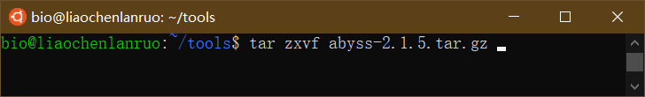 解压缩AbySS软件